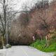 Frana sulla strada per il Partenio