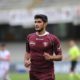 Alessandro Tuia Salernitana