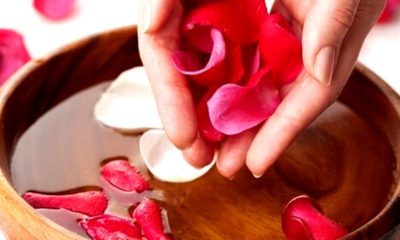 Acqua di rose