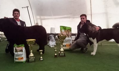 Team Irpino Montorese