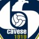 Logo Cavese