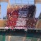Tifosi Nocerina Bari