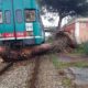 Treno sbatte contro albero