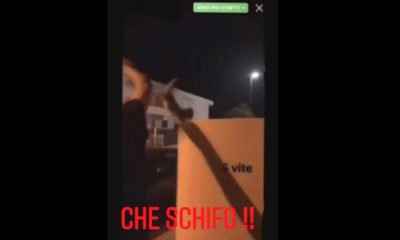 Violenza su gattini Nocera