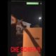 Violenza su gattini Nocera