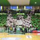 Scandone Avellino Tifosi