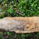 Bomba inesplosa Montoro