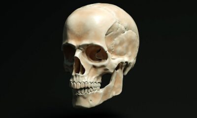 Cranio Medicina