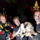 Pompieri salvano cani