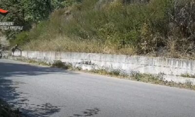 Incendio Sarno Piromane
