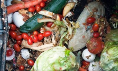 Cibo Spreco Alimentare