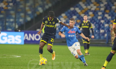 Gervinho attaccante Parma