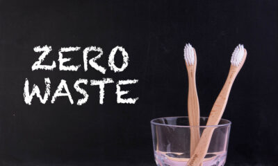 Zero Waste Challenge