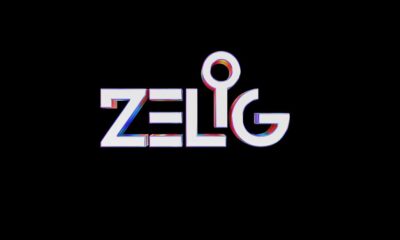 Logo Zelig