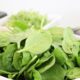 Spinaci