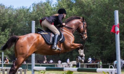 Ippica Sport