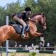Ippica Sport
