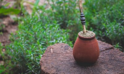 Mate Bevanda