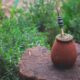Mate Bevanda