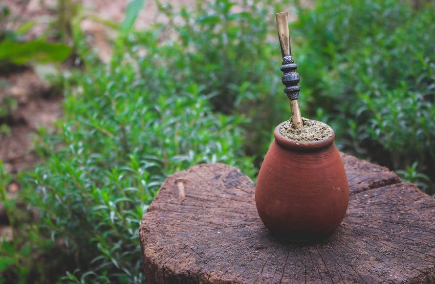 Mate Bevanda