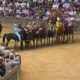 Palio di Siena