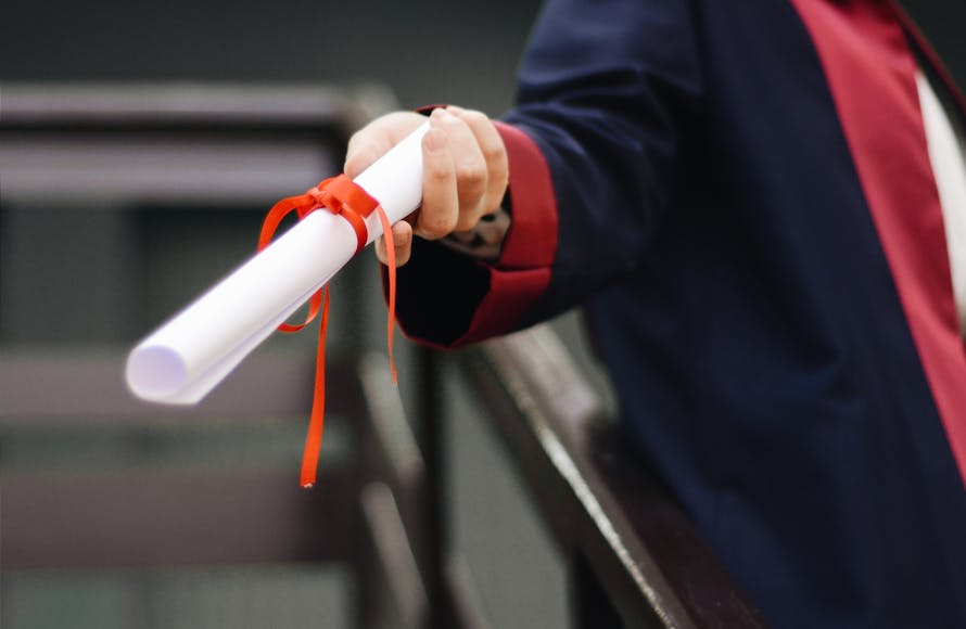 Laurea pergamena